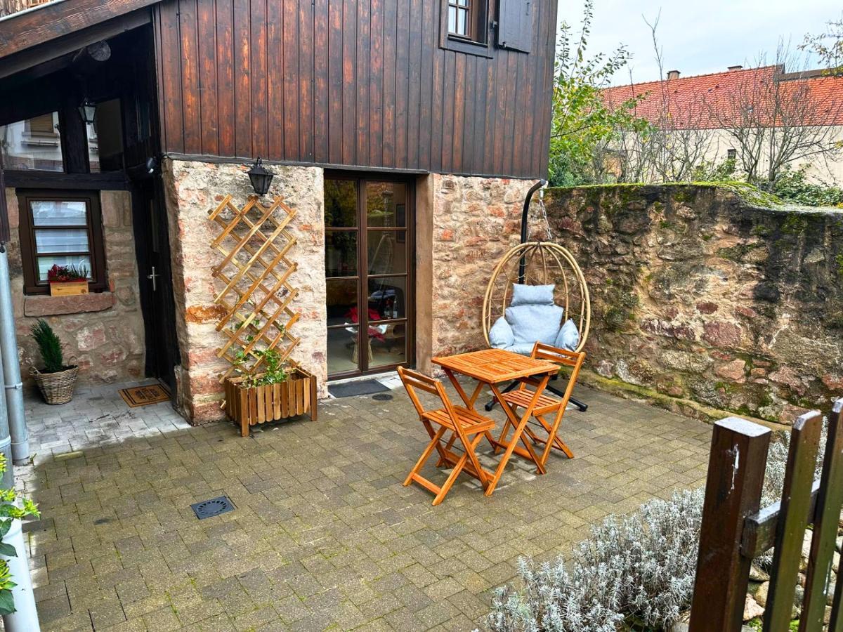 Le Petit Chataignier - Cozy Immo Châtenois Exterior photo