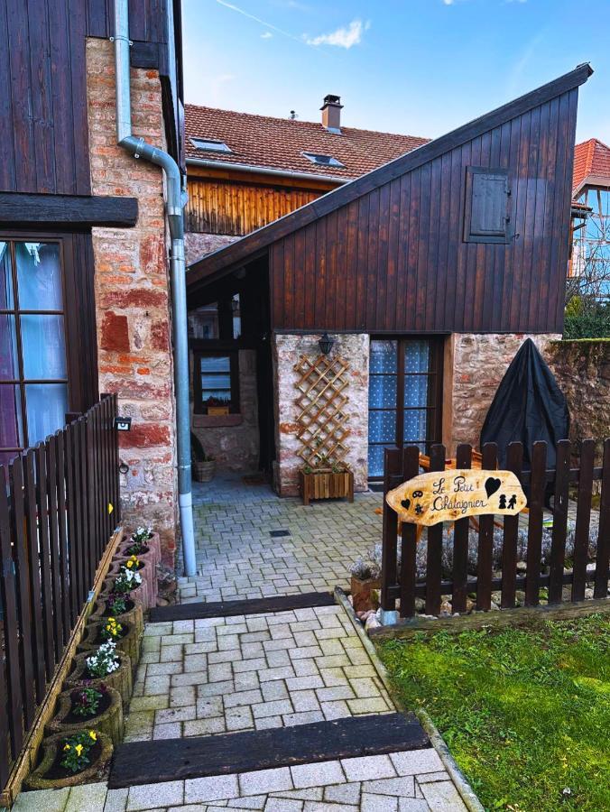 Le Petit Chataignier - Cozy Immo Châtenois Exterior photo