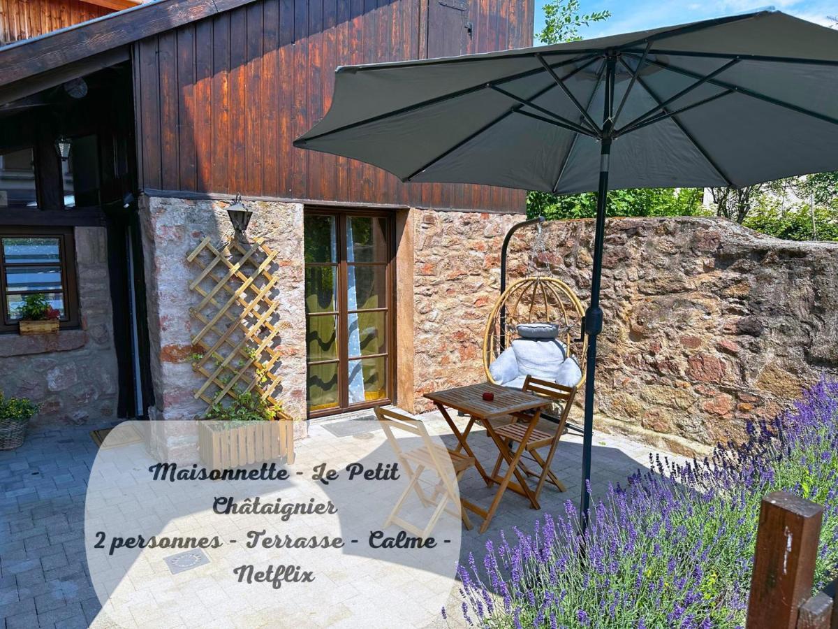 Le Petit Chataignier - Cozy Immo Châtenois Exterior photo